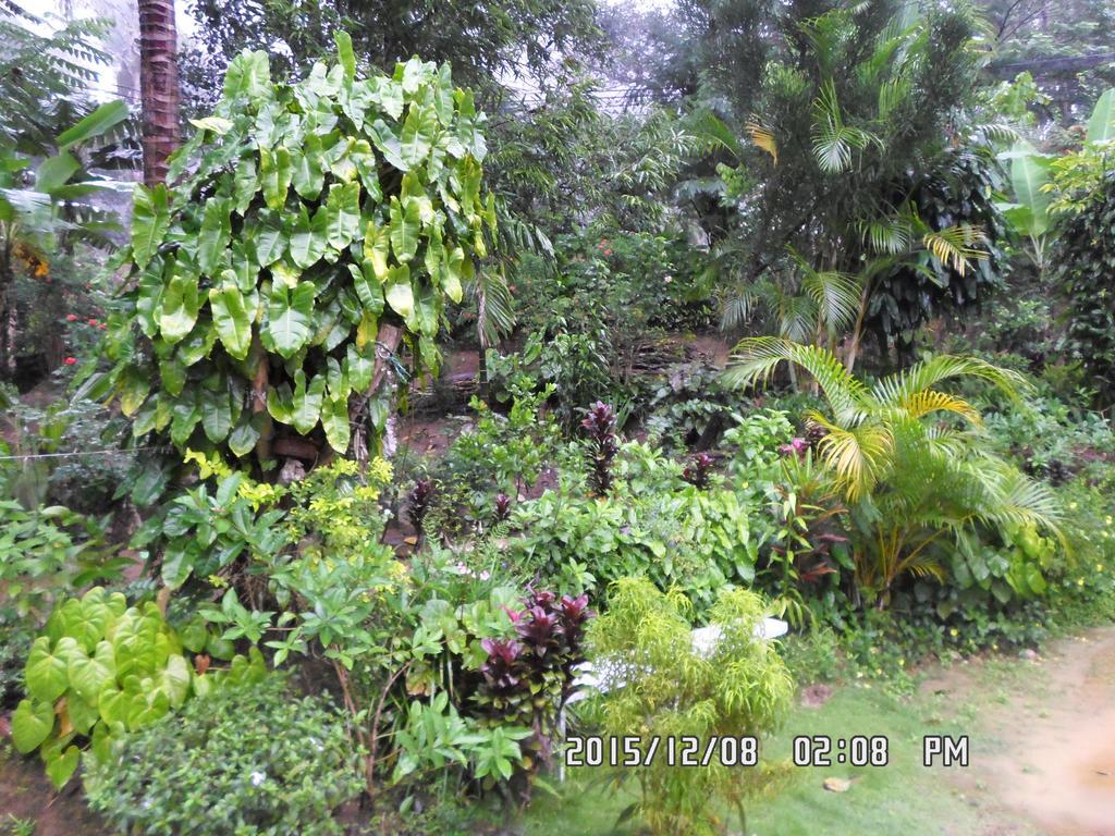 Peters Inn เอลลา ภายนอก รูปภาพ